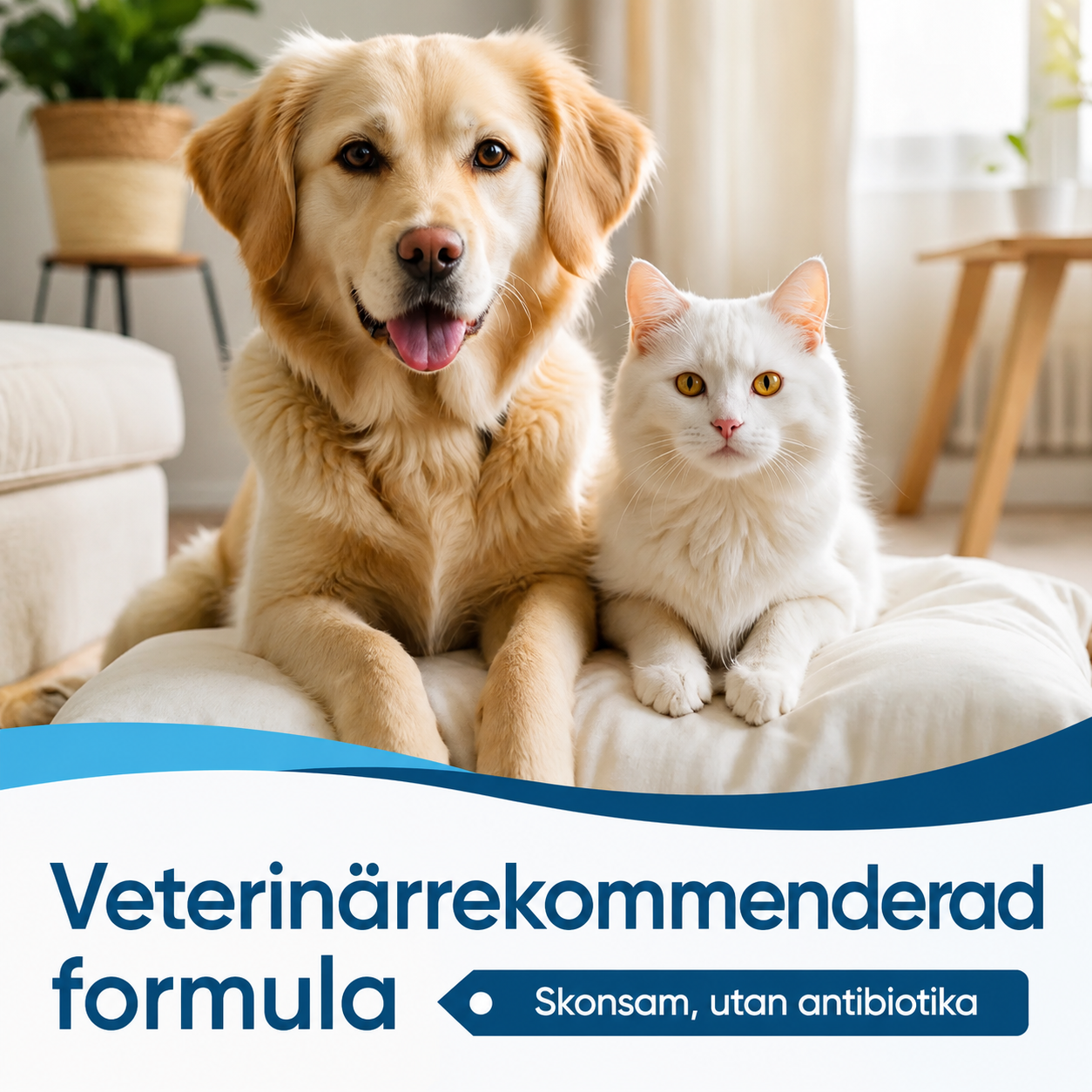 Ear Cleaner™ | Skonsam vård för hundar och katter
