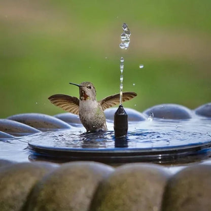 Water Bloom ™