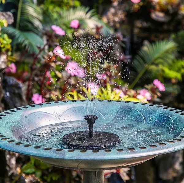Water Bloom ™